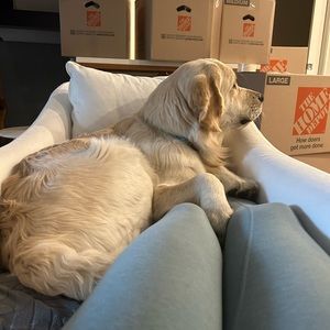 Meet your Posher, Veronica